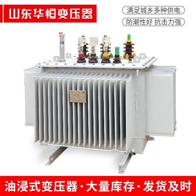 S13-10000/35且末且末且末电力变压器